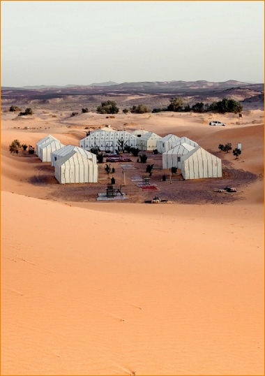 Camel Trek Merzouga