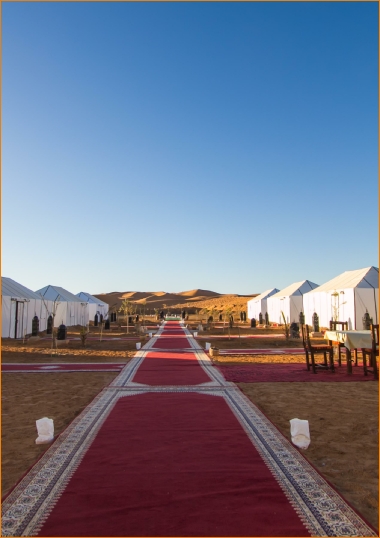 Camel Trek Merzouga