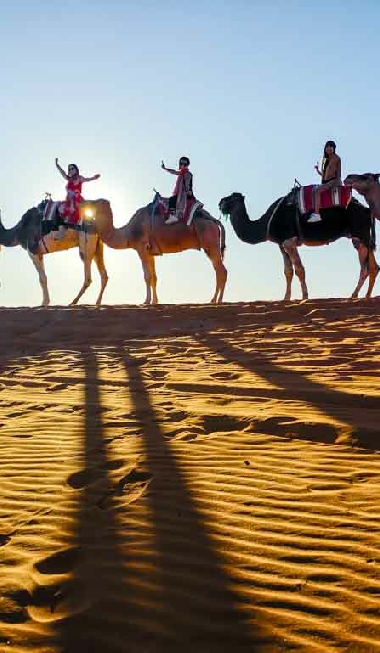 Camel Trek Merzouga