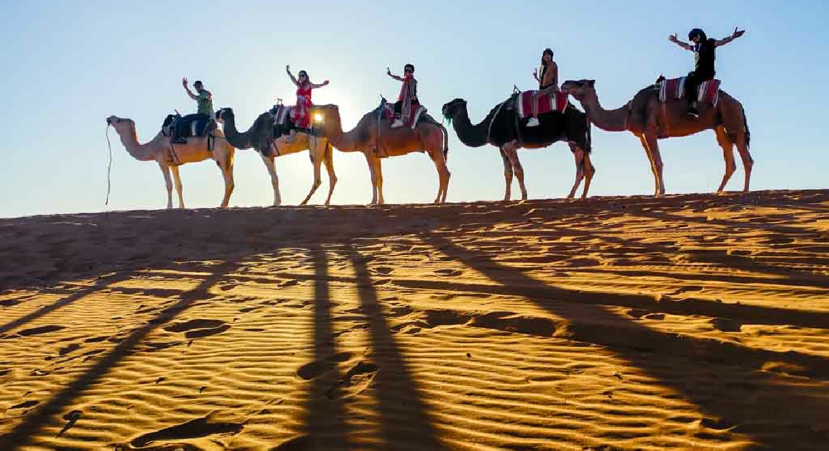 Camel Trek Merzouga