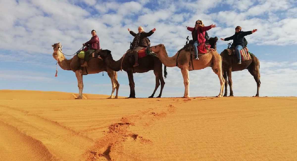 Camel Trek Merzouga