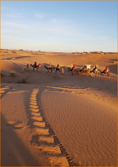 Camel Trek Merzouga