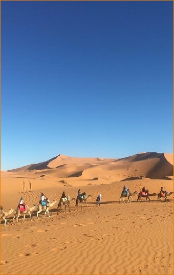Camel Trek Merzouga