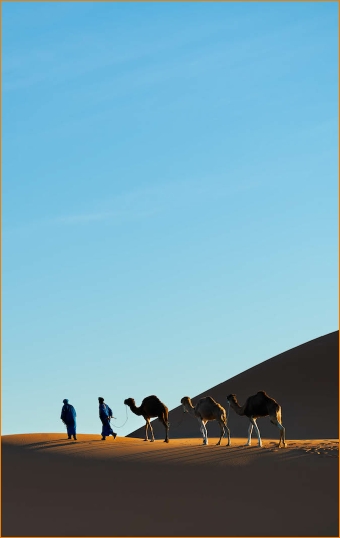Camel Trek Merzouga