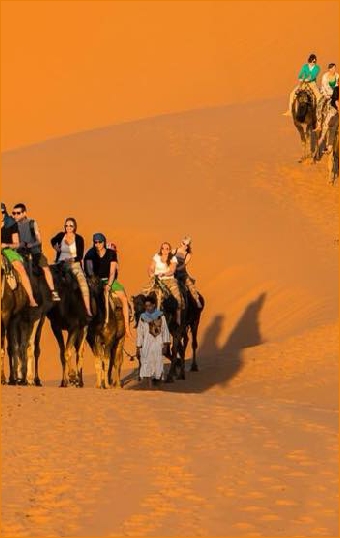 Tours from Marrakech