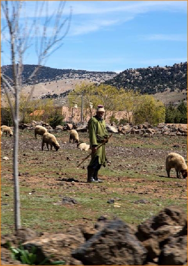 Tours from Marrakech