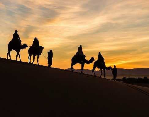 Best Camel Trips