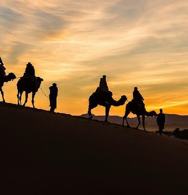 Best Camel Trips