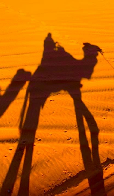 Merzouga Desert Activities and Excursions