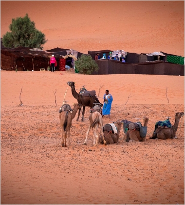 Tours in Morocco