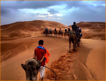 Tours from Marrakech