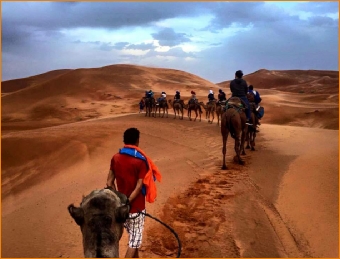 Tours from Marrakech