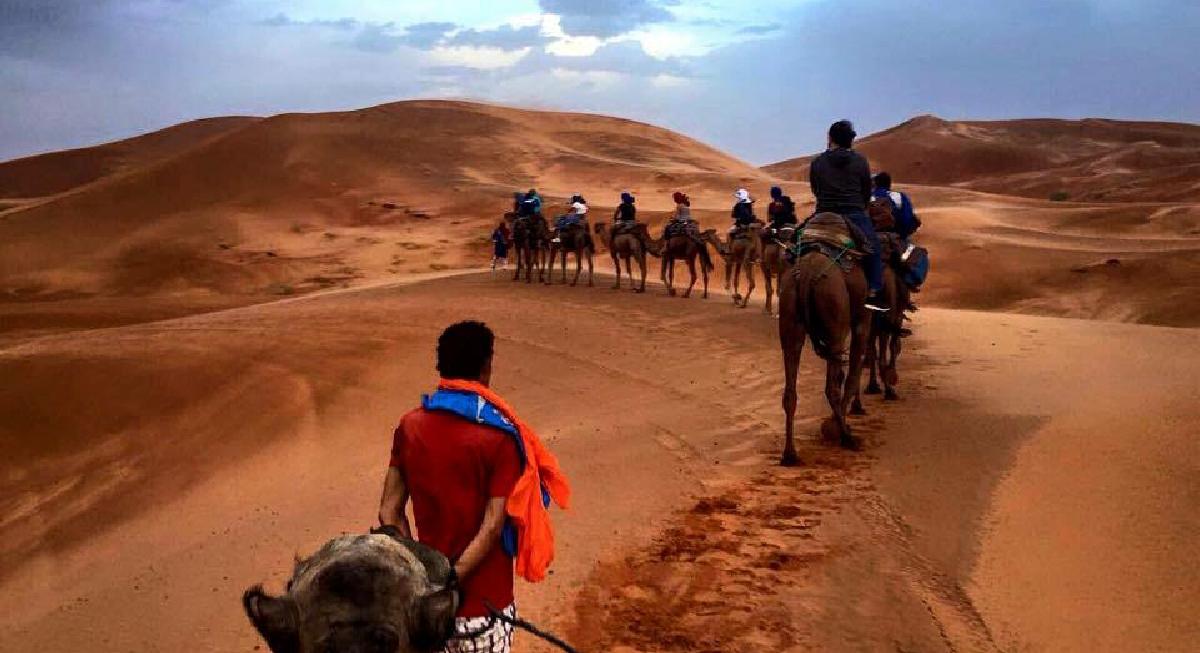 Best Camel Trips