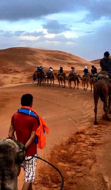 Best Camel Trips