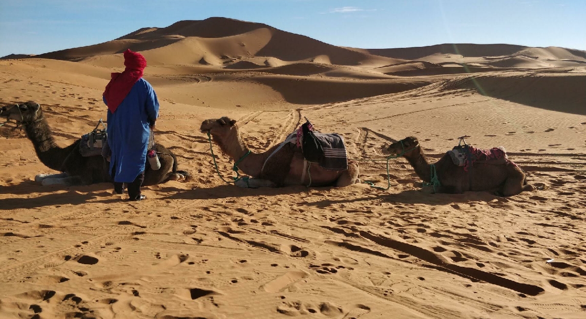 Tour from Fes