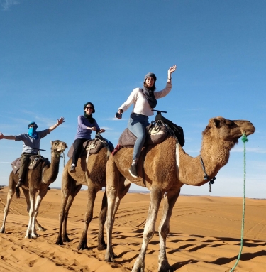 Merzouga Activities